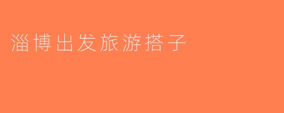 淄博出发旅游搭子