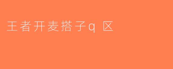 王者开麦搭子q区