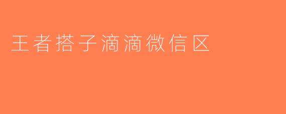 王者搭子滴滴微信区