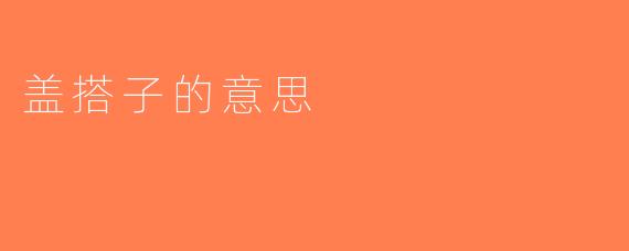 盖搭子的意思