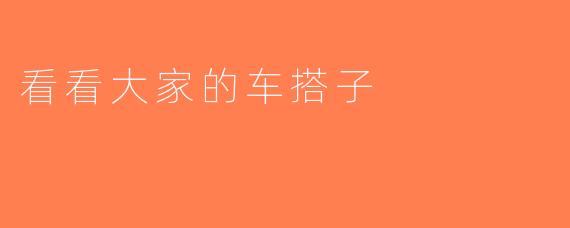 看看大家的车搭子