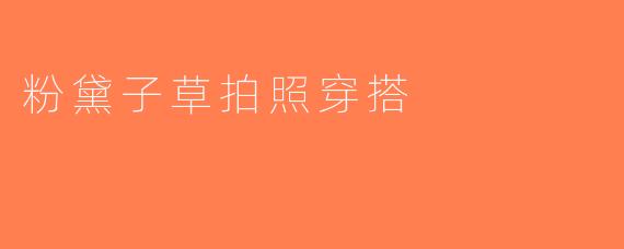 粉黛子草拍照穿搭