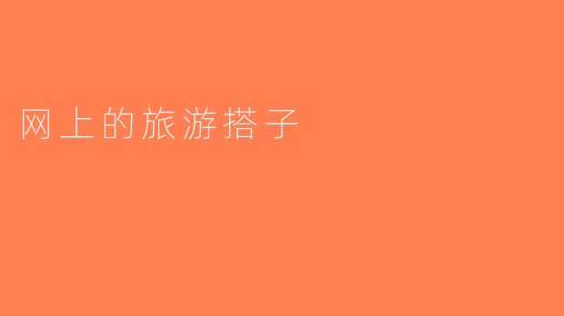 网上的旅游搭子