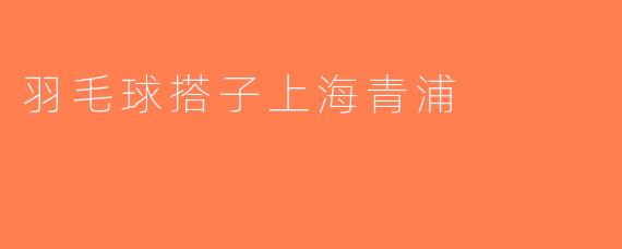 羽毛球搭子上海青浦