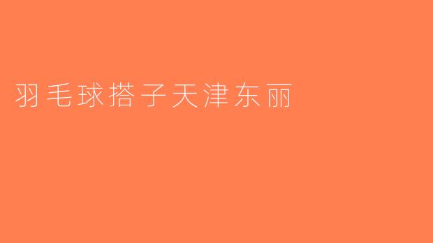 羽毛球搭子天津东丽