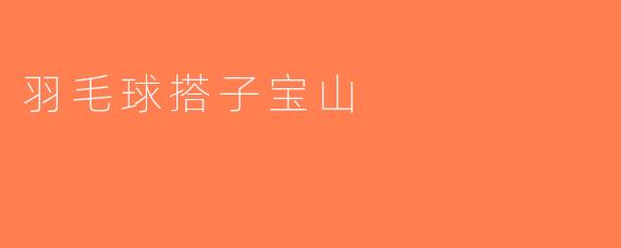 羽毛球搭子宝山