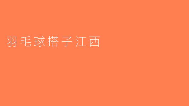 羽毛球搭子江西