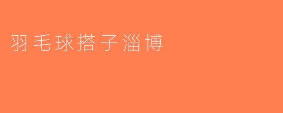 羽毛球搭子淄博