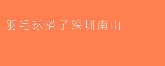 羽毛球搭子深圳南山