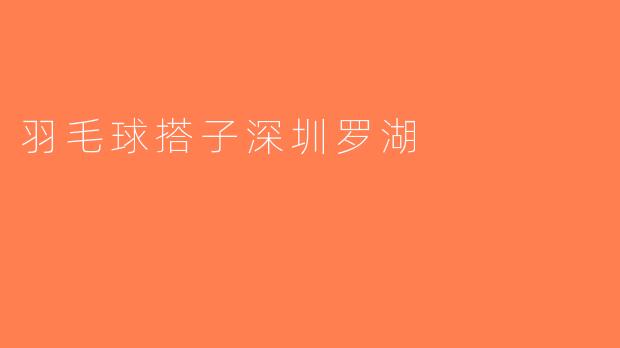 羽毛球搭子深圳罗湖