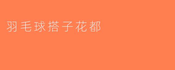 羽毛球搭子花都