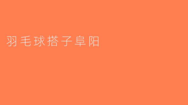 羽毛球搭子阜阳