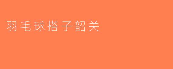 羽毛球搭子韶关