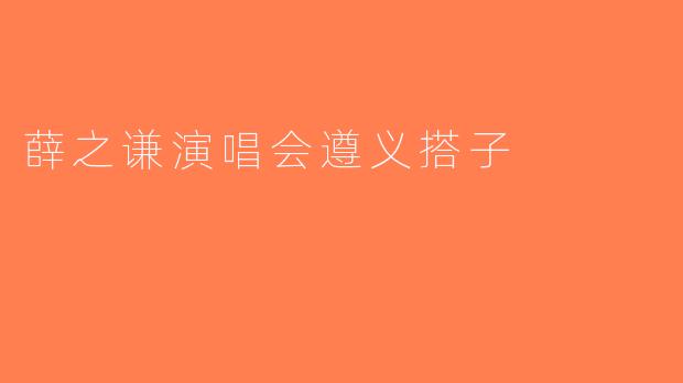 薛之谦演唱会遵义搭子