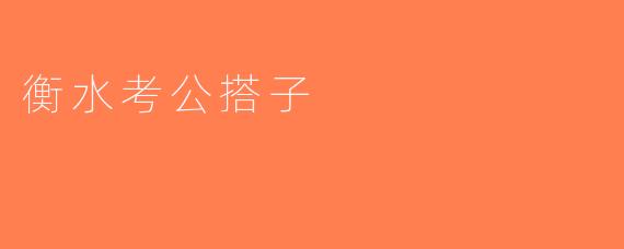 衡水考公搭子