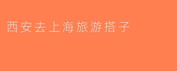 西安去上海旅游搭子
