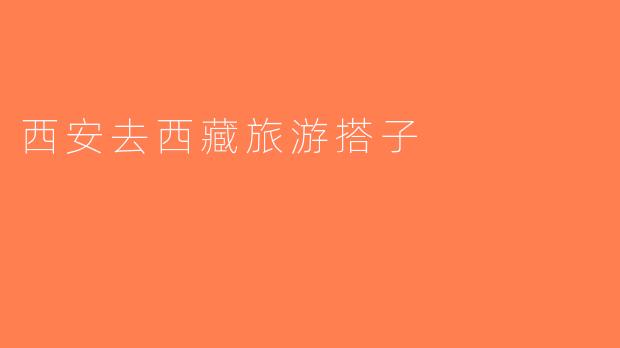 西安去西藏旅游搭子