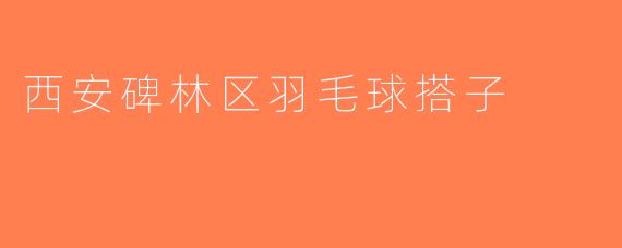 西安碑林区羽毛球搭子