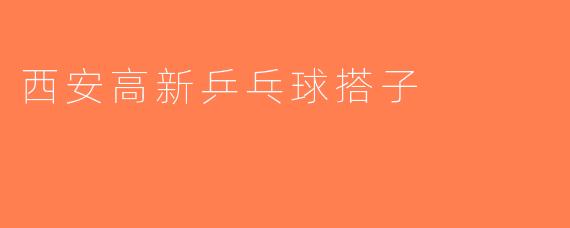西安高新乒乓球搭子