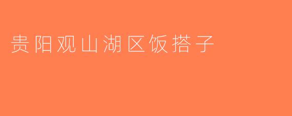 贵阳观山湖区饭搭子