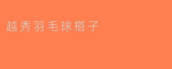 越秀羽毛球搭子