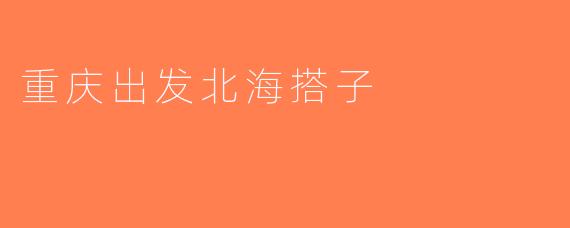 重庆出发北海搭子