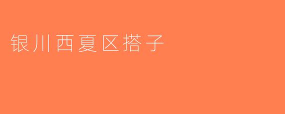 银川西夏区搭子