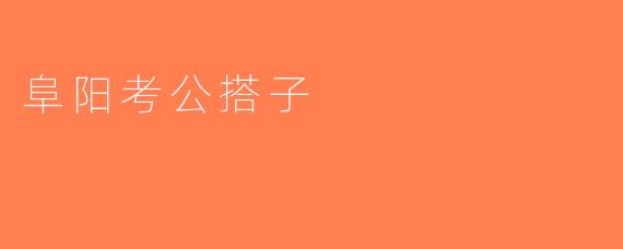阜阳考公搭子
