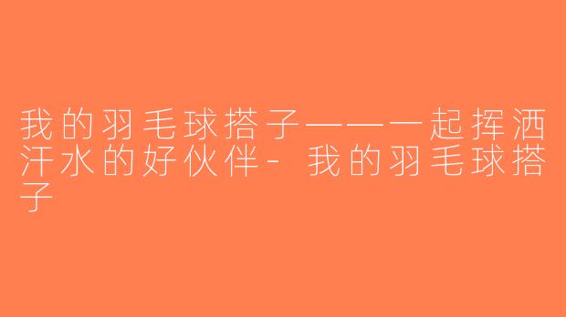 我的羽毛球搭子——一起挥洒汗水的好伙伴-我的羽毛球搭子