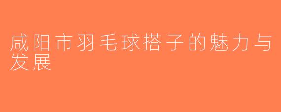咸阳市羽毛球搭子的魅力与发展