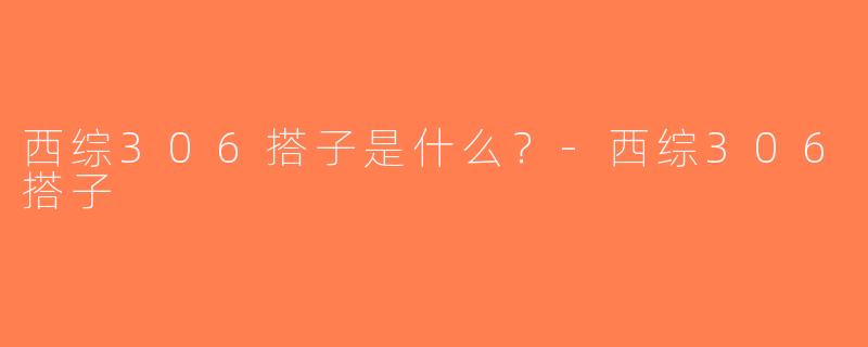 西综306搭子是什么？-西综306搭子