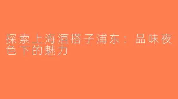 探索上海酒搭子浦东：品味夜色下的魅力