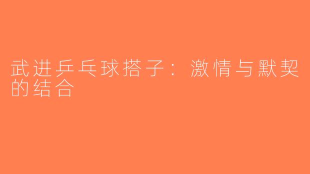 武进乒乓球搭子：激情与默契的结合