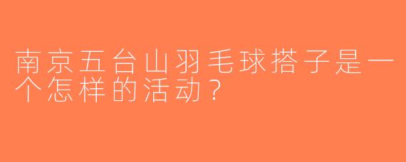 南京五台山羽毛球搭子是一个怎样的活动？  