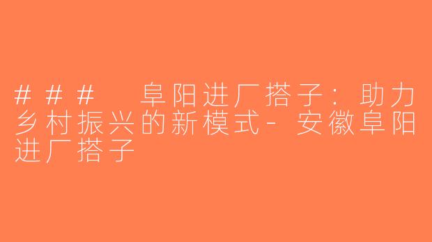 ### 阜阳进厂搭子：助力乡村振兴的新模式-安徽阜阳进厂搭子