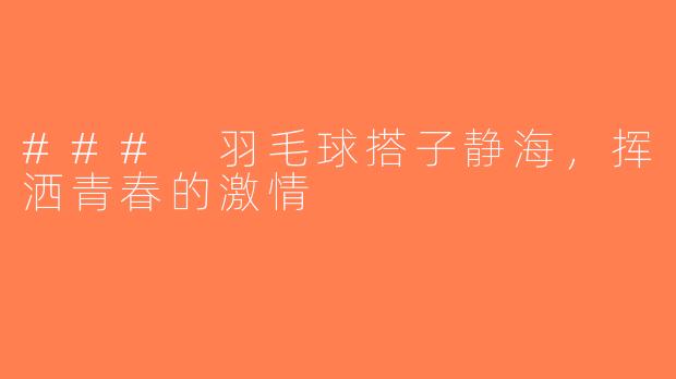 ### 羽毛球搭子静海，挥洒青春的激情