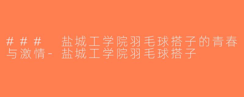 ### 盐城工学院羽毛球搭子的青春与激情-盐城工学院羽毛球搭子
