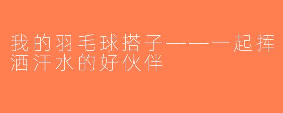 我的羽毛球搭子——一起挥洒汗水的好伙伴