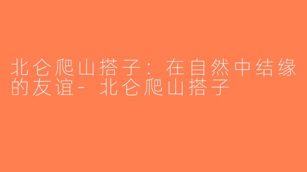北仑爬山搭子：在自然中结缘的友谊-北仑爬山搭子