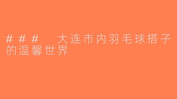 ### 大连市内羽毛球搭子的温馨世界