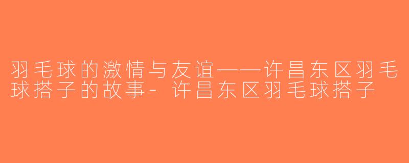 羽毛球的激情与友谊——许昌东区羽毛球搭子的故事-许昌东区羽毛球搭子