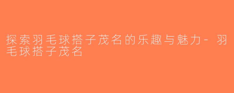 探索羽毛球搭子茂名的乐趣与魅力-羽毛球搭子茂名