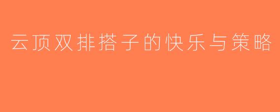 云顶双排搭子的快乐与策略