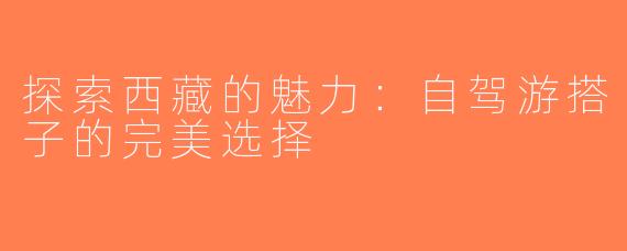 探索西藏的魅力：自驾游搭子的完美选择