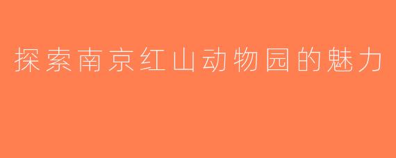 探索南京红山动物园的魅力