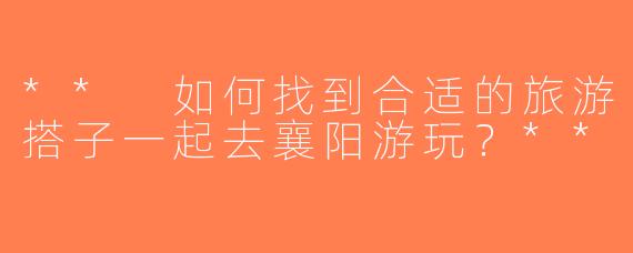 ** 如何找到合适的旅游搭子一起去襄阳游玩？**