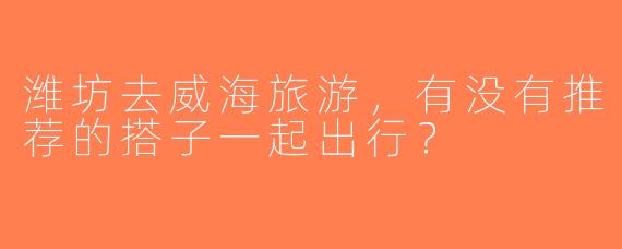 潍坊去威海旅游，有没有推荐的搭子一起出行？