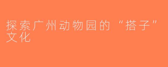 探索广州动物园的“搭子”文化