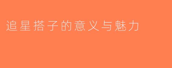追星搭子的意义与魅力