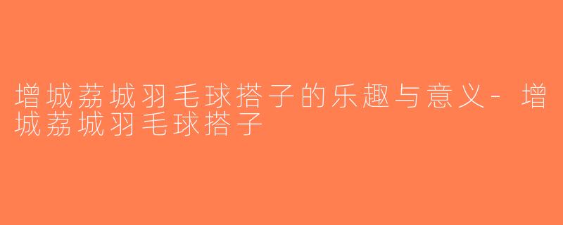 增城荔城羽毛球搭子的乐趣与意义-增城荔城羽毛球搭子